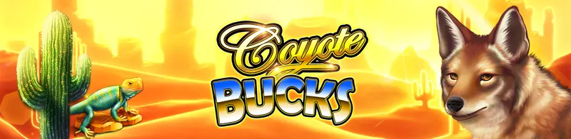 Coyote Bucks — Ainsworth