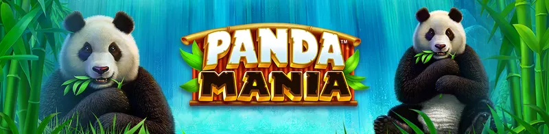 Panda Mania — Ainsworth