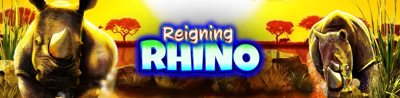 Reigning Rhino — Ainsworth