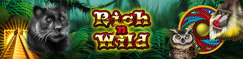 Rich n Wild — Ainsworth