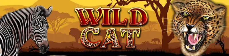 Wild Cat — Ainsworth