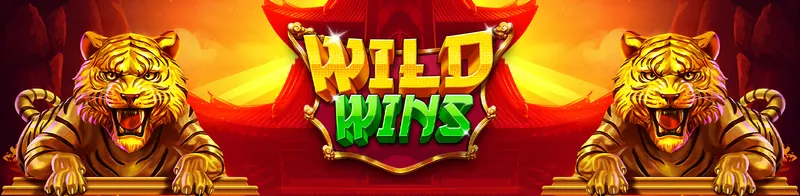 Wild Wins — Ainsworth