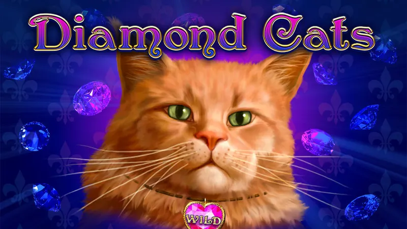 Diamond Cats — AMATIC