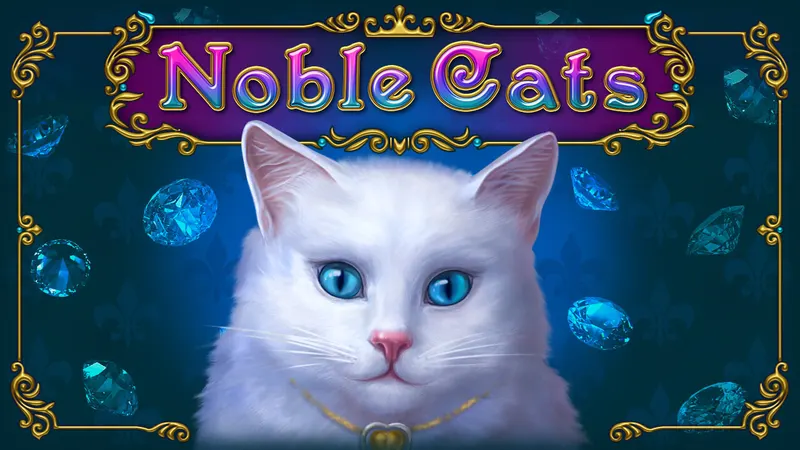 Noble Cats — AMATIC