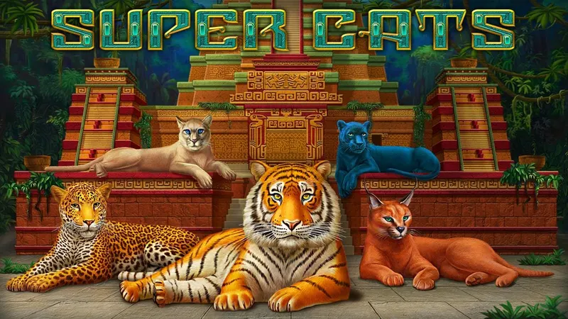 Super Cats — AMATIC