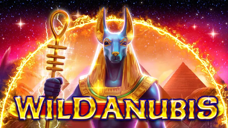 Wild Anubis — AMATIC