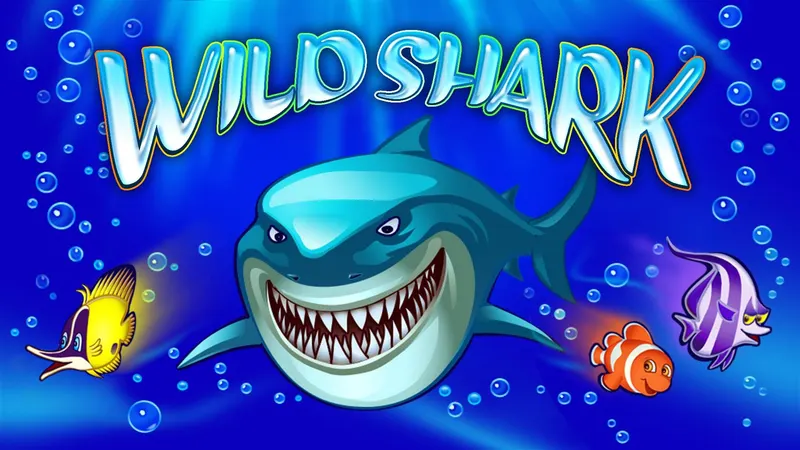 Wild Shark — AMATIC