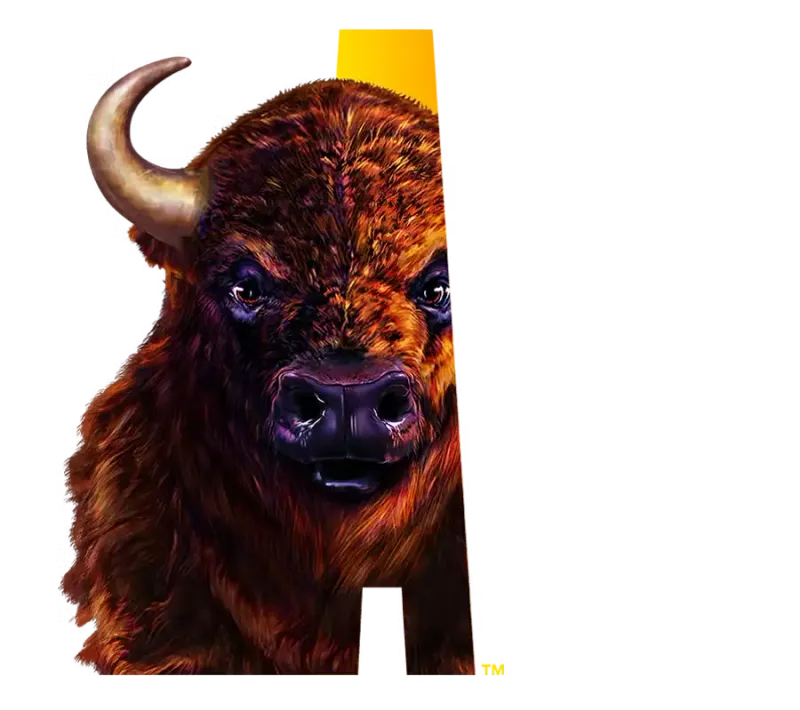 Buffalo Cash