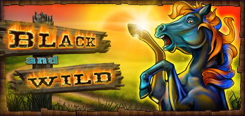 BLACK AND WILD — CT Gaming
