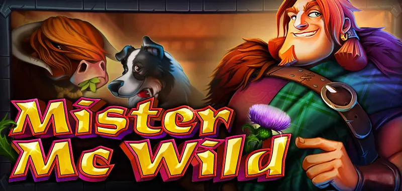 MISTER MC WILD — CT Gaming