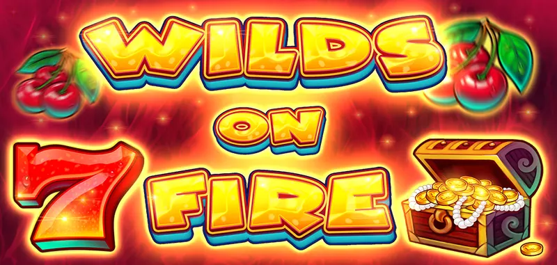 WILDS ON FIRE — CT Gaming