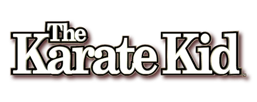 The Karate Kid® — Everi