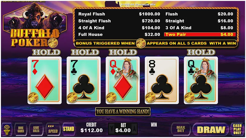 Buffalo Poker Coin — Grand Vision Gaming