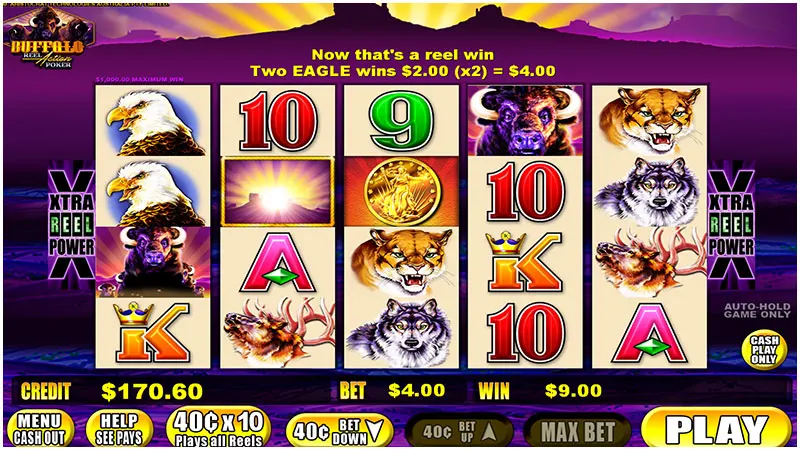 Buffalo Reel Action Poker — Grand Vision Gaming