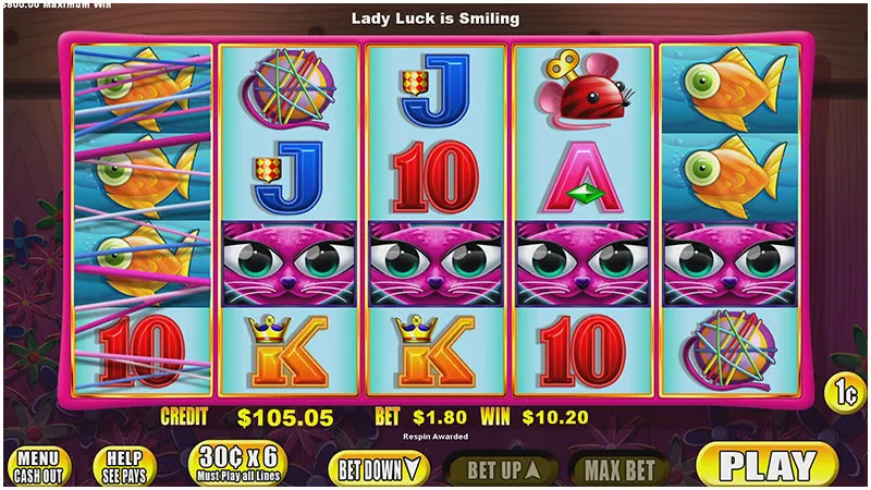 Miss Kitty Gold — Grand Vision Gaming