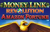 Money Link Revolution - Amazon Fortune — Light & Wonder