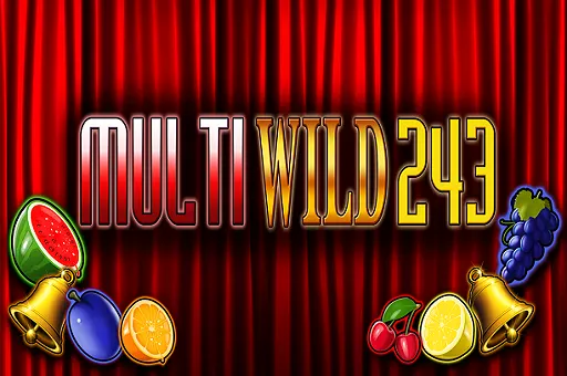 Multi Wild 243 — Merkur Gaming
