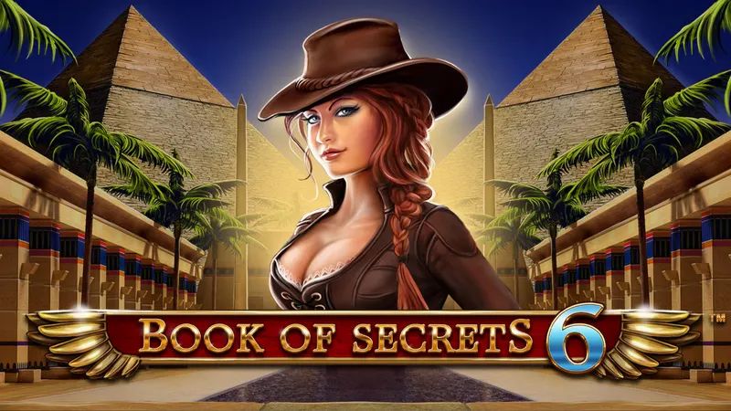 Book of Secrets 6 — SYNOT