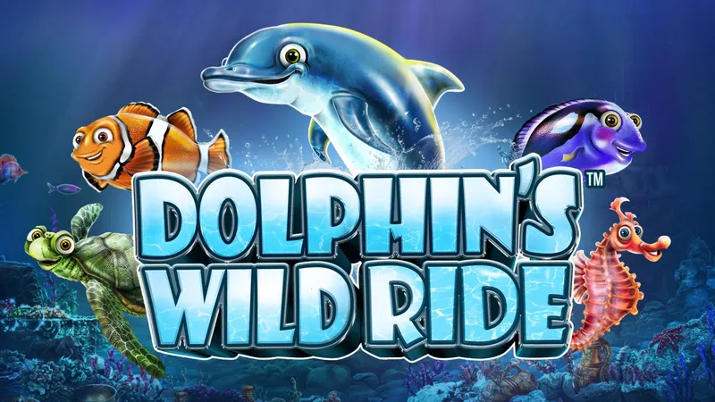 Dolphin's Wild Ride — SYNOT