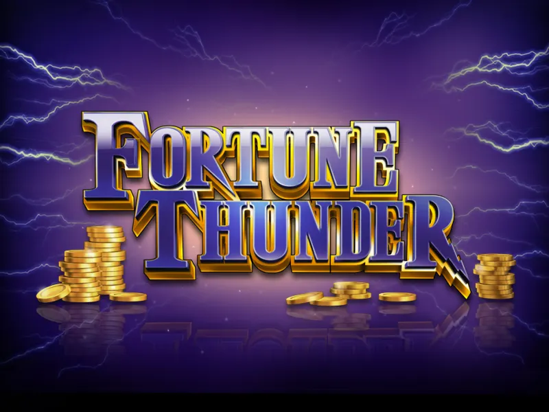 Fortune Thunder — SYNOT