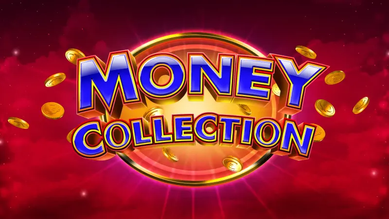 Money Collection — SYNOT