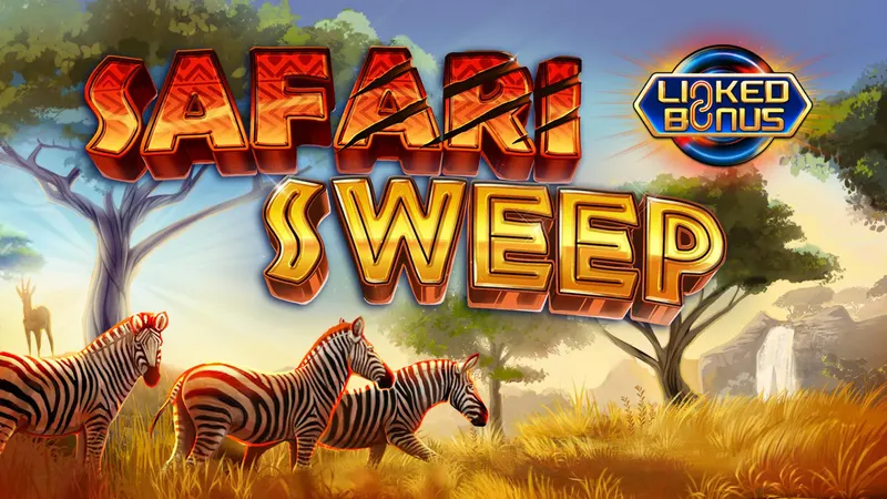 Safari Sweep — SYNOT