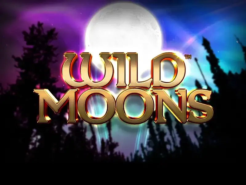 Wild Moons — SYNOT