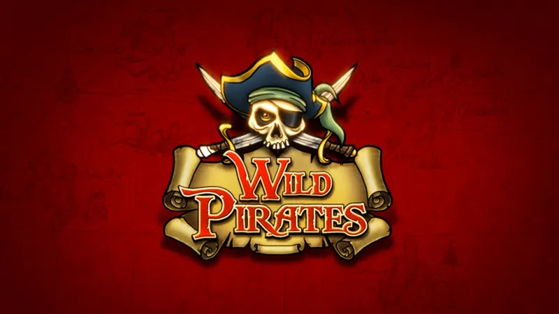 Wild Pirates — SYNOT
