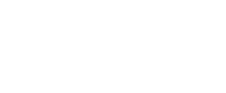 Bluberi logo